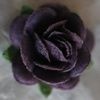 tsspurpleflower
